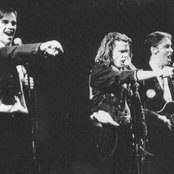 Doug Anthony All Stars - List pictures