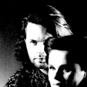 Gemini - List pictures