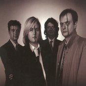 Plasticost - List pictures