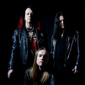 Lion's Share - List pictures