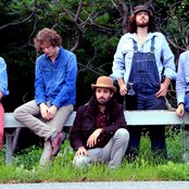 Maybird - List pictures