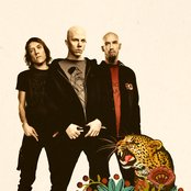 Apulanta - List pictures