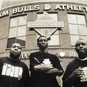 Little Brother - List pictures