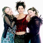 Wonderwall - List pictures