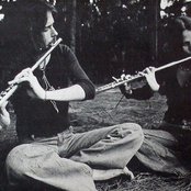 Emerald Web - List pictures