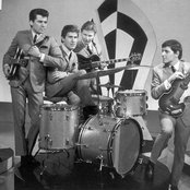 Searchers - List pictures