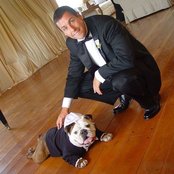 Adam Sandler - List pictures