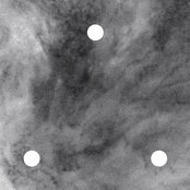 The Acid - List pictures