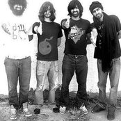 The Popo - List pictures