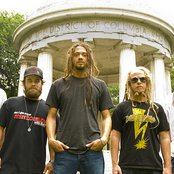 Soldiers Of Jah Army - List pictures