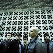 Jet Black Stare - List pictures