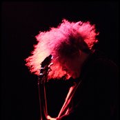 The Melvins - List pictures