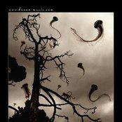 Kwoon - List pictures