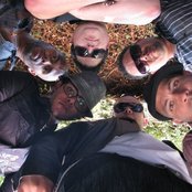 Nota - List pictures