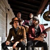 The Bloodhounds - List pictures