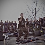 Dub Fx - List pictures