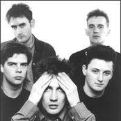 Close Lobsters - List pictures