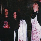 Sarcastic - List pictures