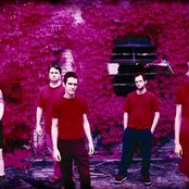 Mira - List pictures