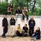 High Tone - List pictures