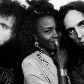 Noisettes - List pictures