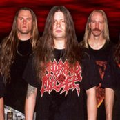 Vile - List pictures