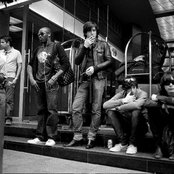 Dirty Pretty Things - List pictures