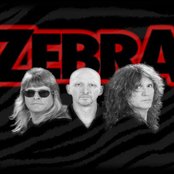 Zebra - List pictures