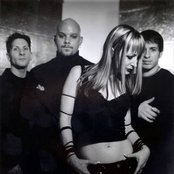 Tapping The Vein - List pictures