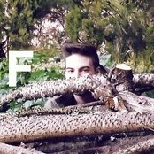 Leaf - List pictures