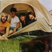 The Used - List pictures