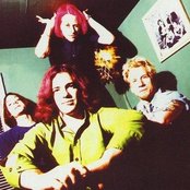 Posies - List pictures