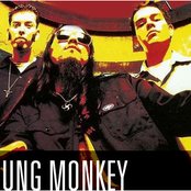 Sprung Monkey - List pictures