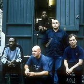 Baby Namboos - List pictures