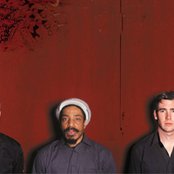 Dreadzone - List pictures