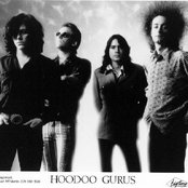 Hoodoo Gurus - List pictures