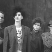 Caifanes - List pictures