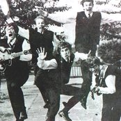 The Zombies - List pictures