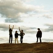 Pond - List pictures