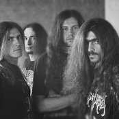 Datura - List pictures