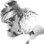 Thug Entrancer - List pictures