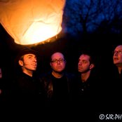 The Amber Herd - List pictures