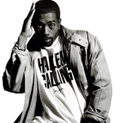 Loon - List pictures