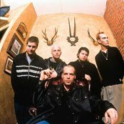 Snot - List pictures