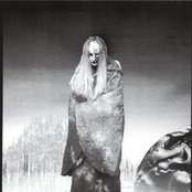 Evol - List pictures