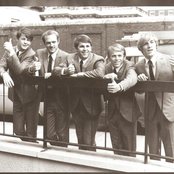 Beach Boys - List pictures