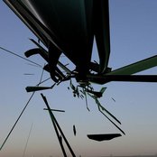 Herd - List pictures