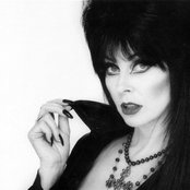 Elvira - List pictures