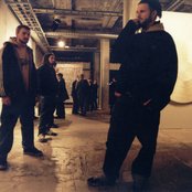 Painfield - List pictures