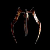 Dawn Of Ashes - List pictures